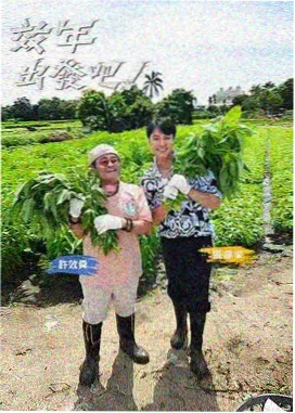 城市菜市场 免费综艺在线观看